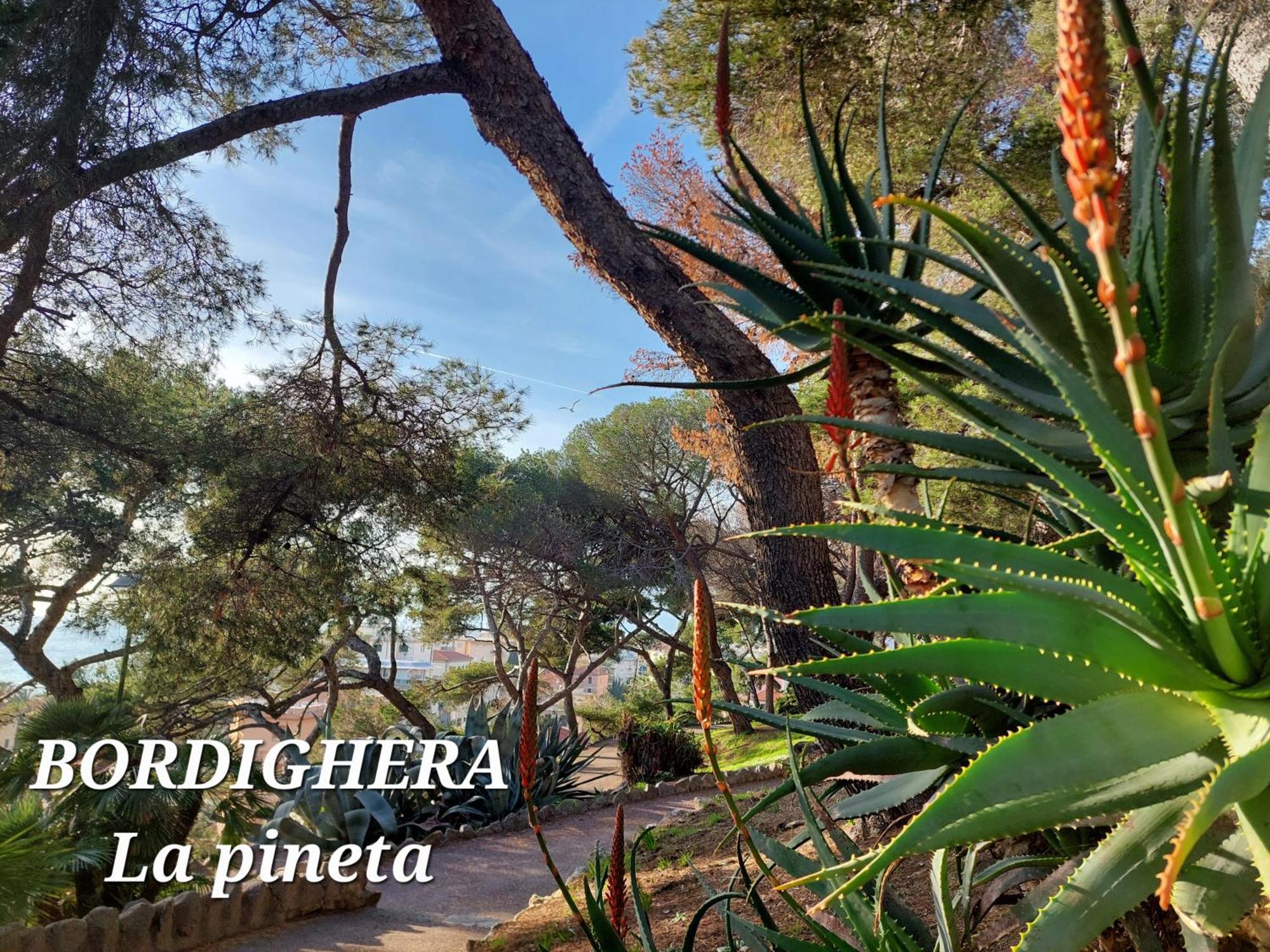 Emozioni Casa Vista Mare Bordighera Dış mekan fotoğraf