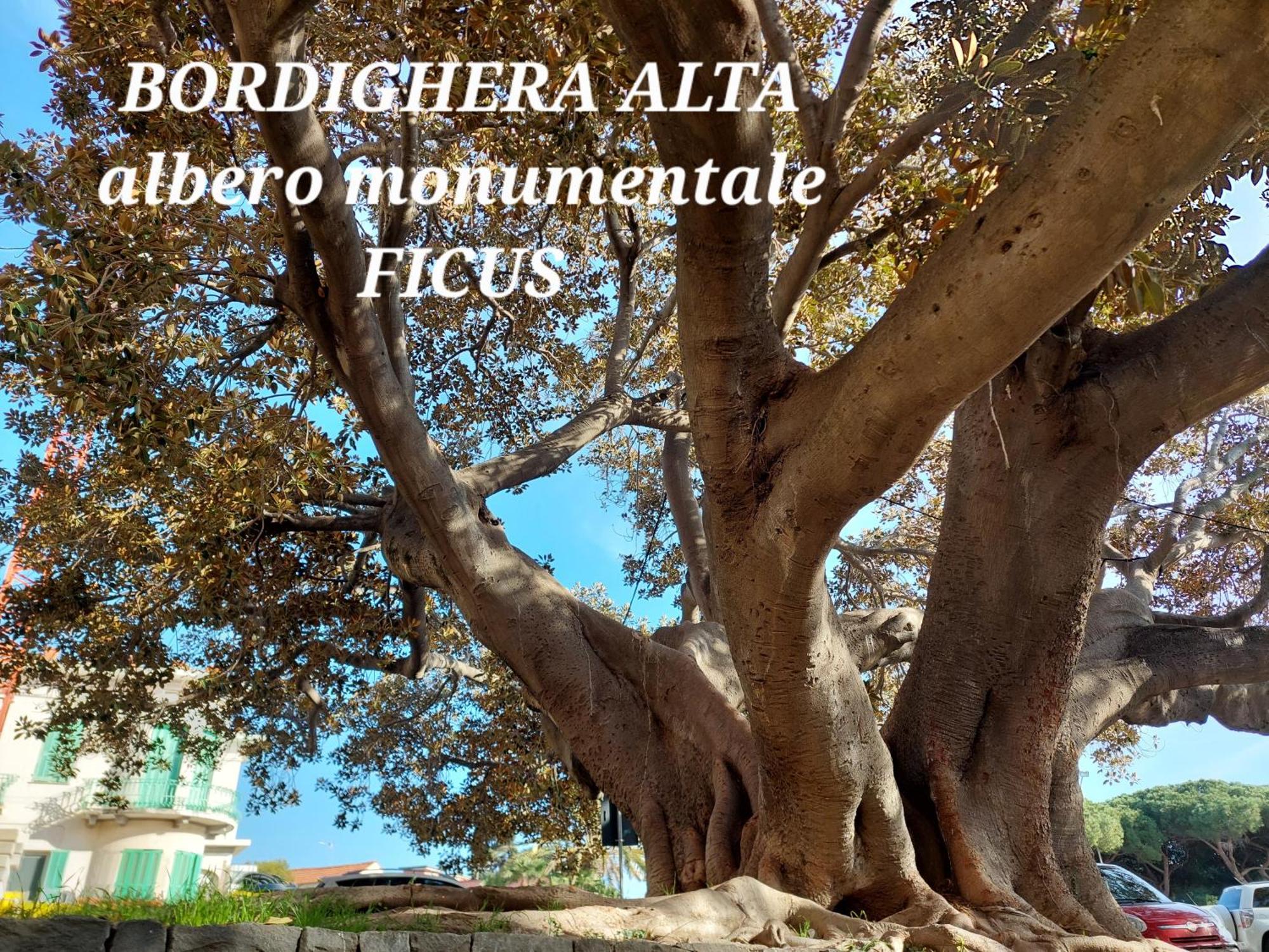 Emozioni Casa Vista Mare Bordighera Dış mekan fotoğraf