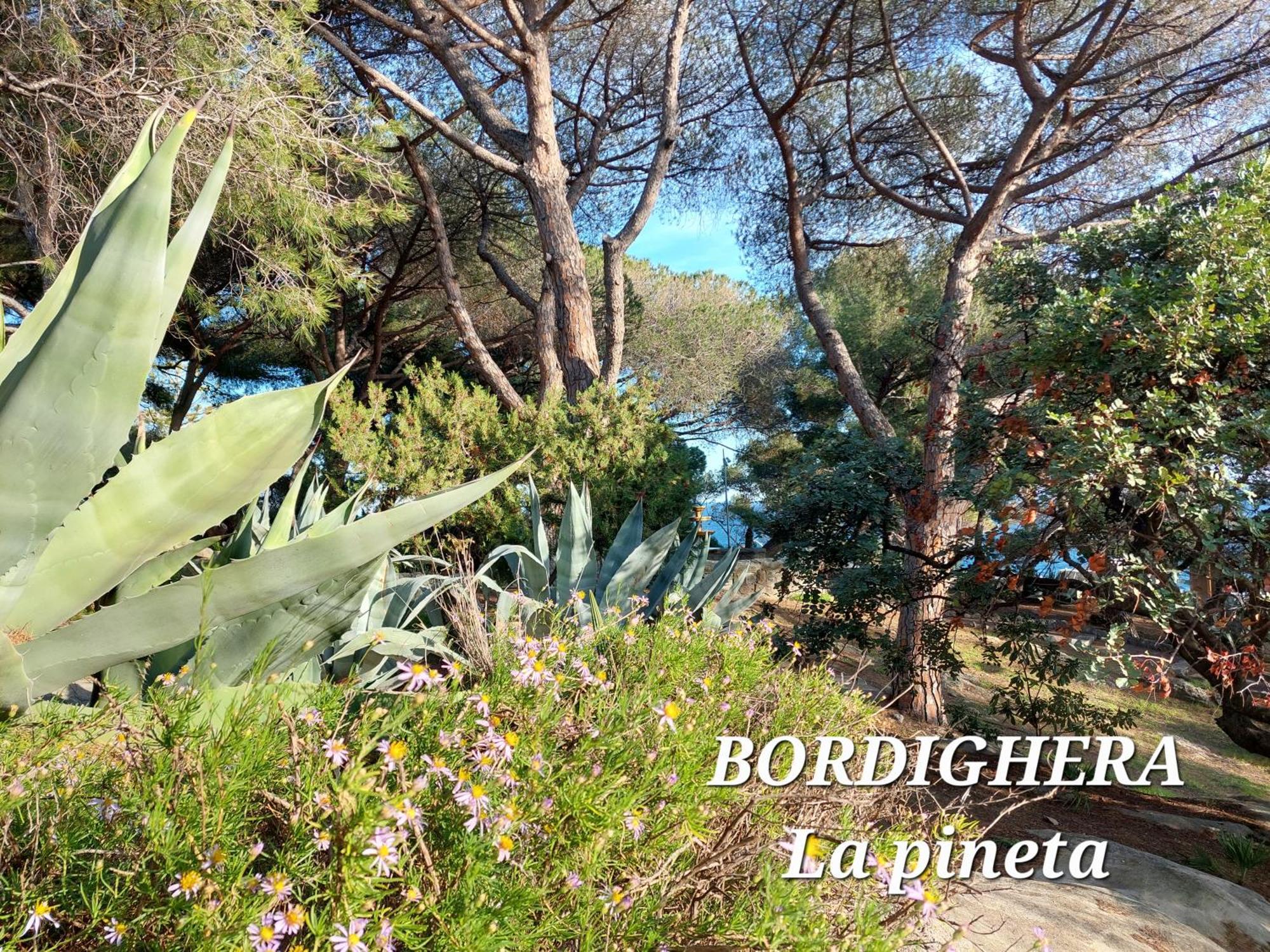 Emozioni Casa Vista Mare Bordighera Dış mekan fotoğraf