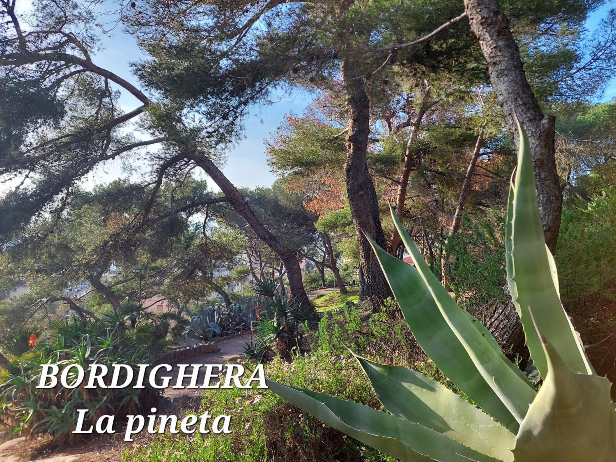 Emozioni Casa Vista Mare Bordighera Dış mekan fotoğraf