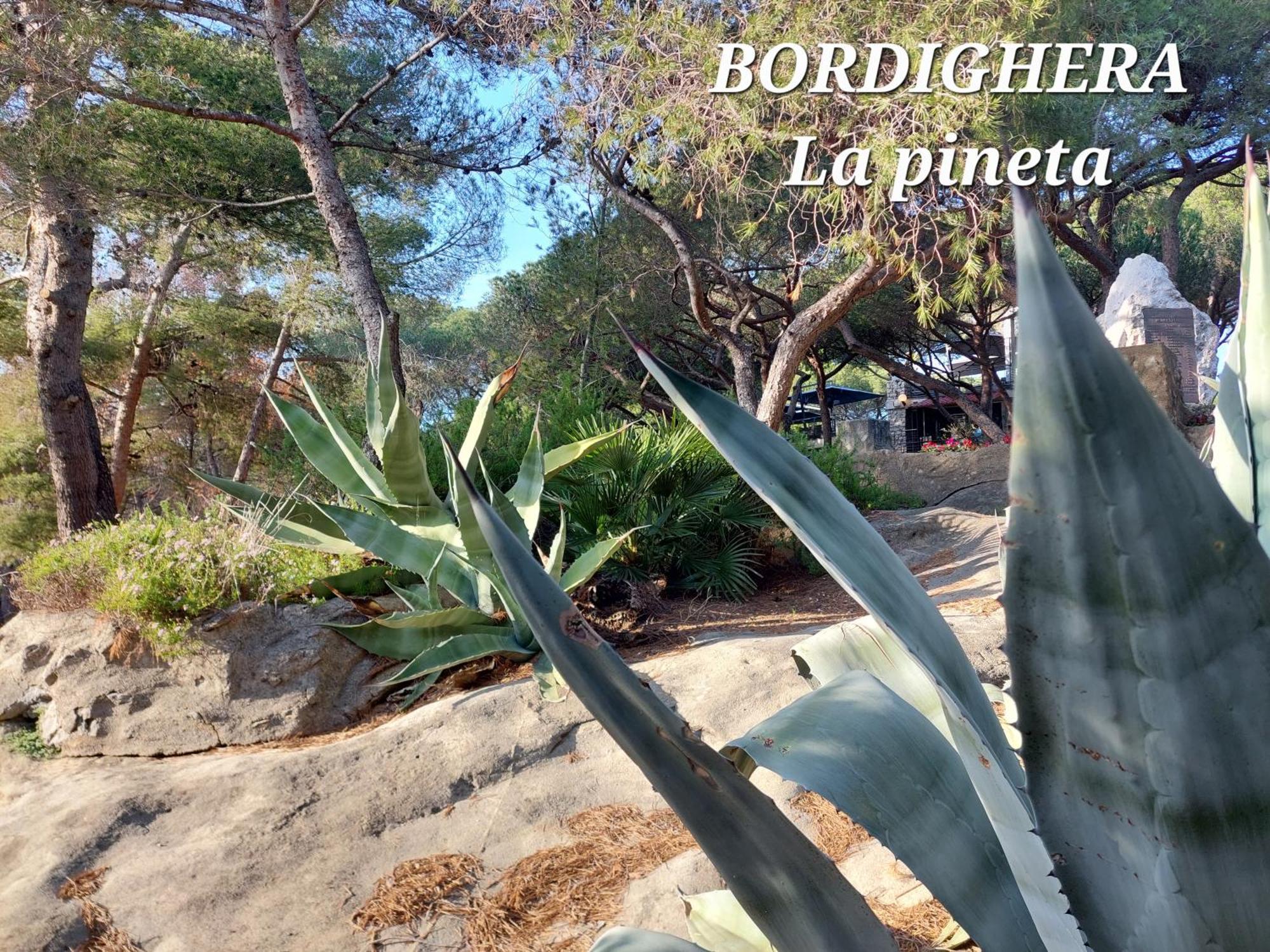 Emozioni Casa Vista Mare Bordighera Dış mekan fotoğraf
